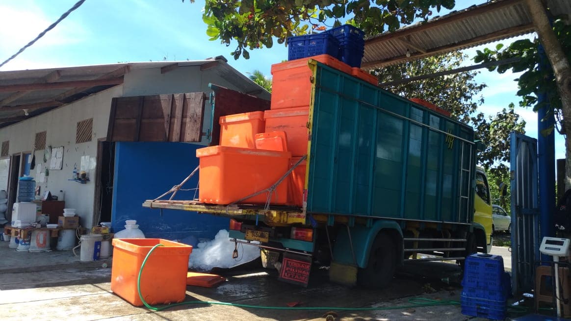 Udang Vaname Berkualitas 1